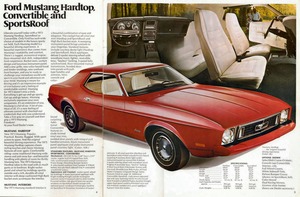 1973 Ford Mustang-04-05.jpg